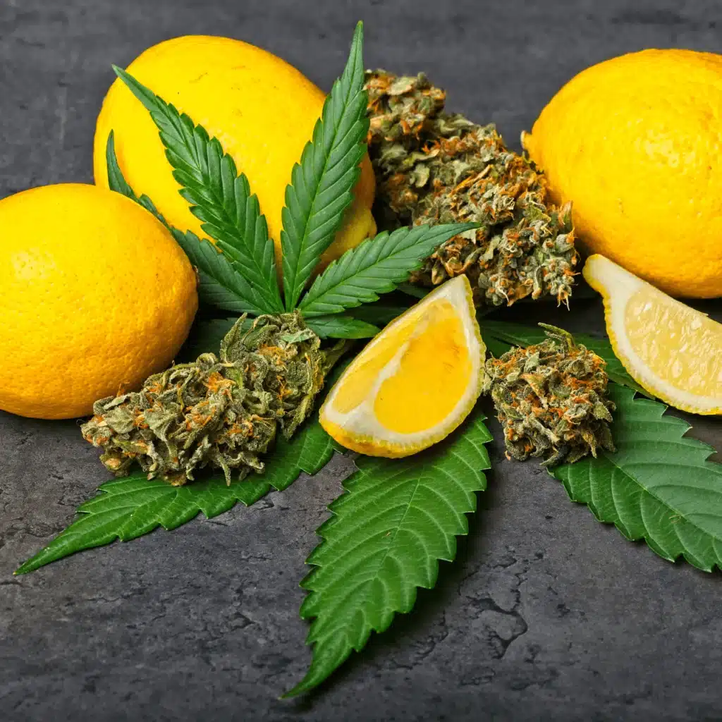 cannabis nugs and lemon