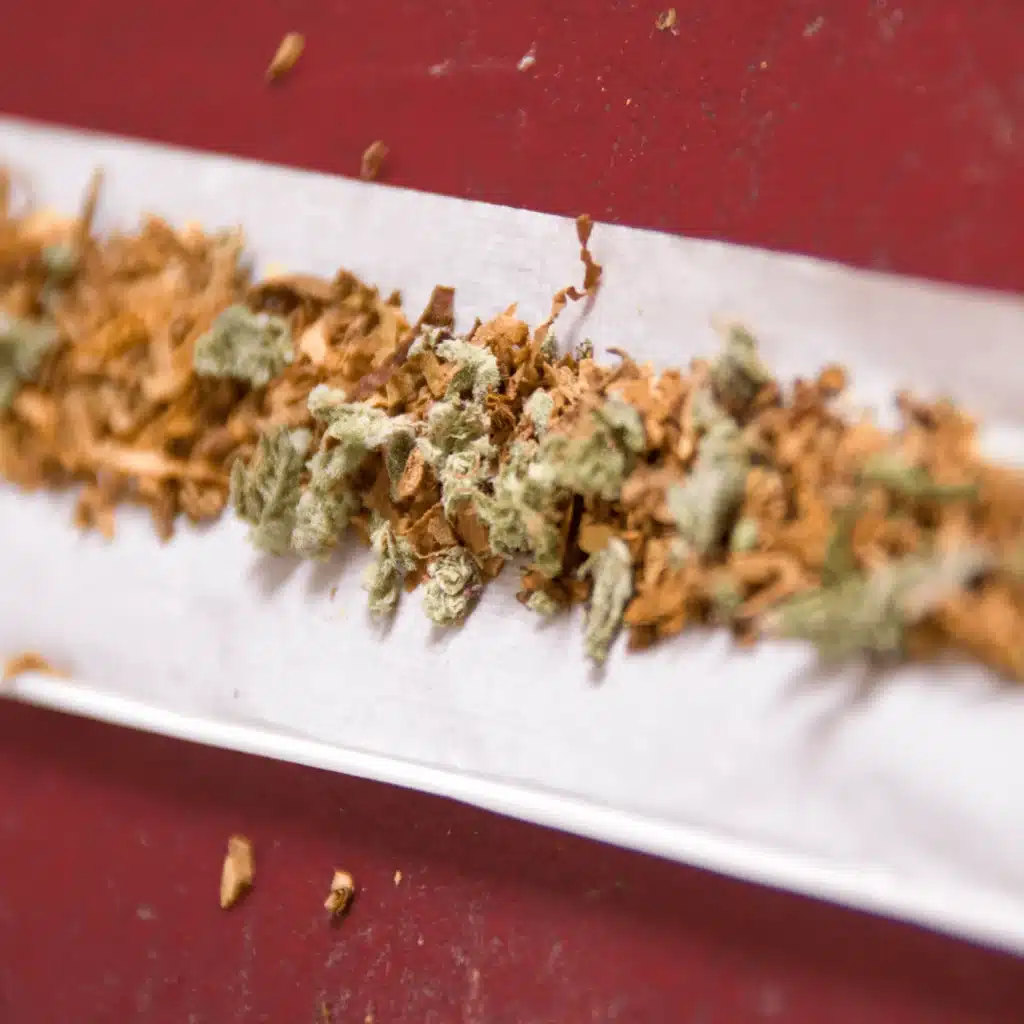 open spliff with tobacco and cannabis