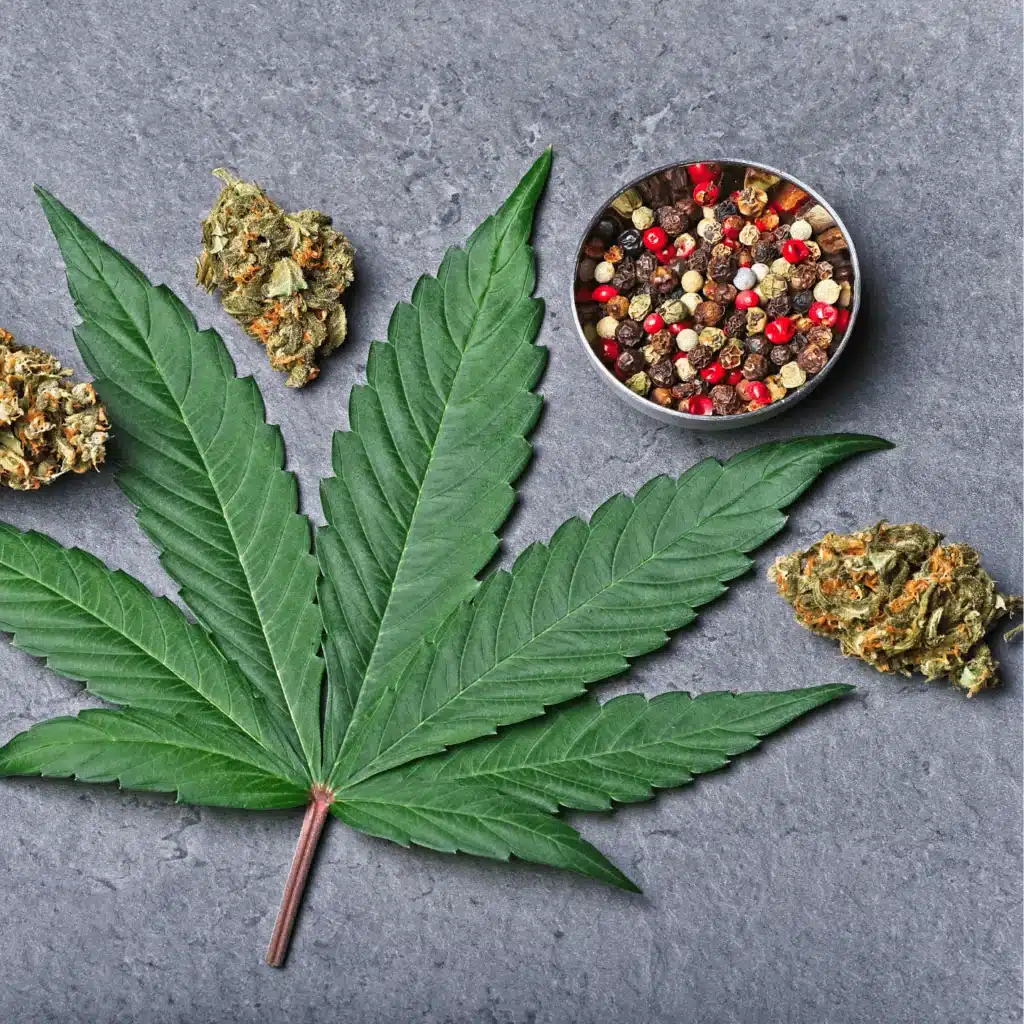 cannabis and pepper