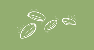 Seeds