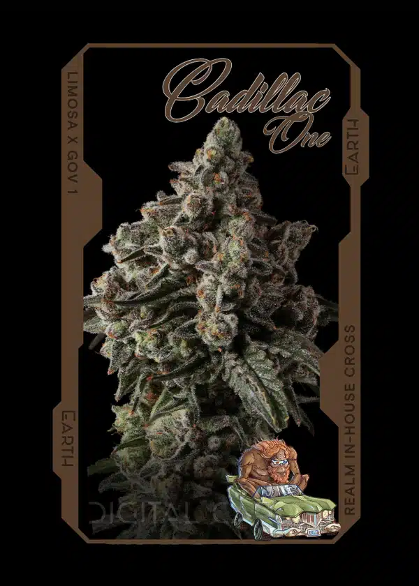 cadillac one strain card