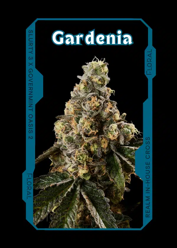 gardenia strain card