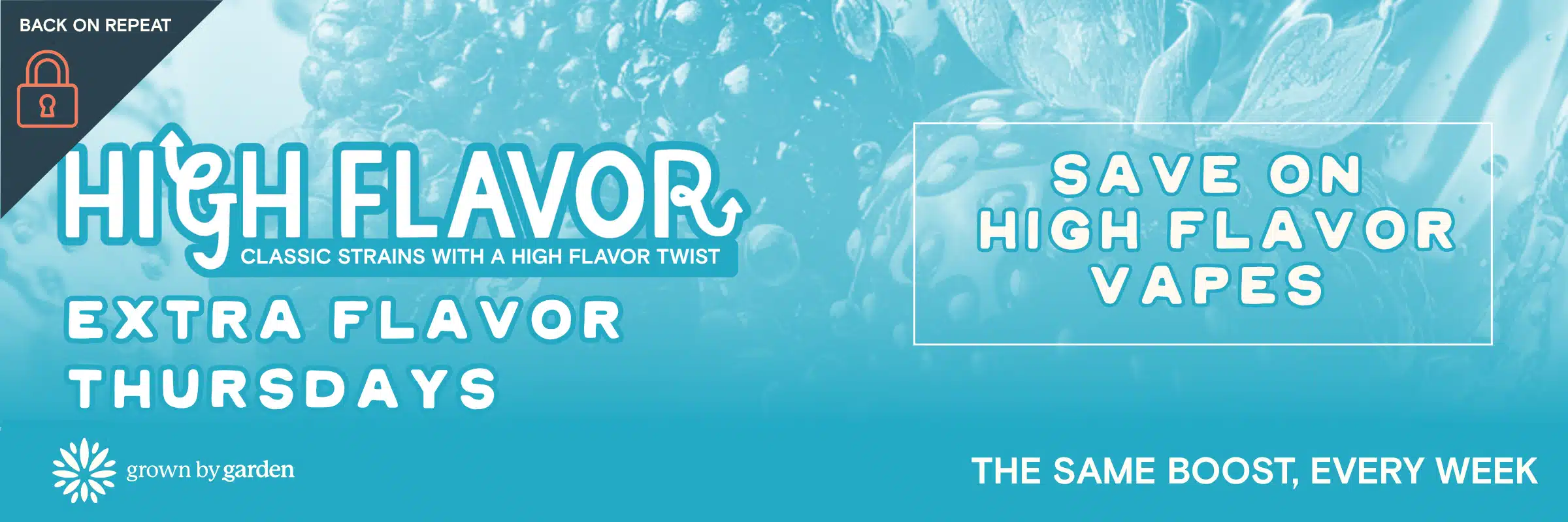 Save on High Flavor Vapes