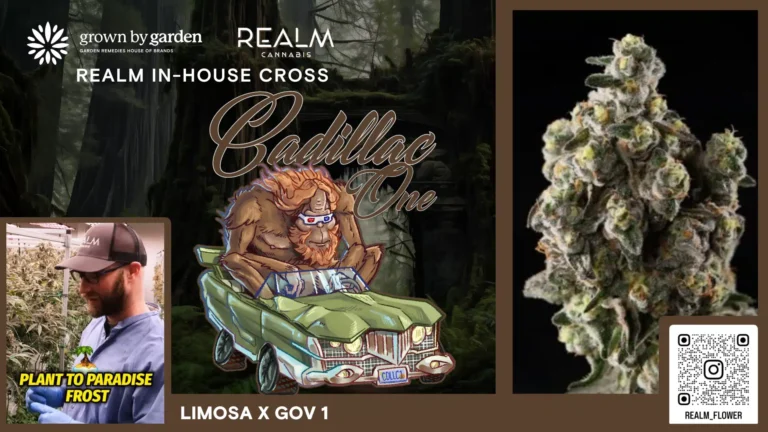 Cadillac One video placeholder