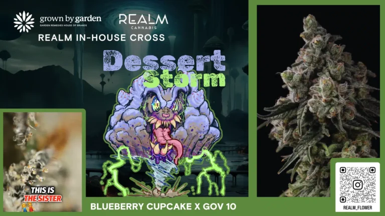 Dessert Storm You Tube Video Placeholder