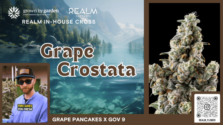 Grape Crostata Video Card