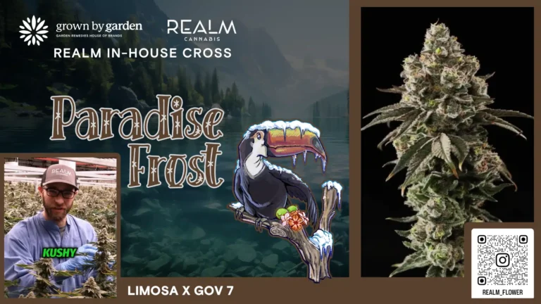 Paradise Frost video placeholder