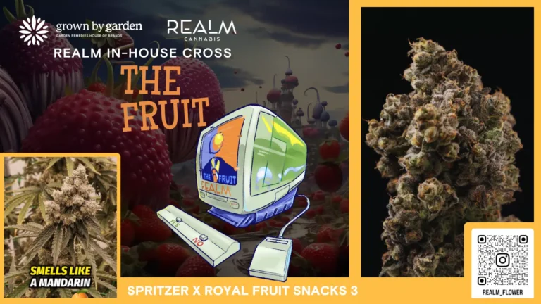 The Fruit Video Placeholder