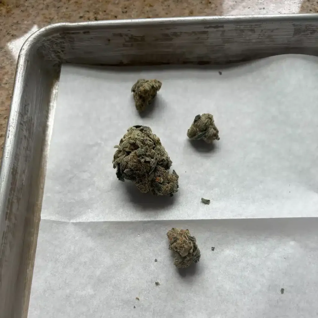 Bud on baking sheet lined with parchment paper