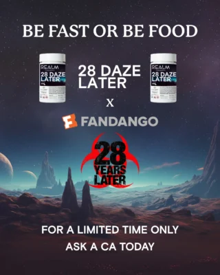 Be fast
Ask a CA today