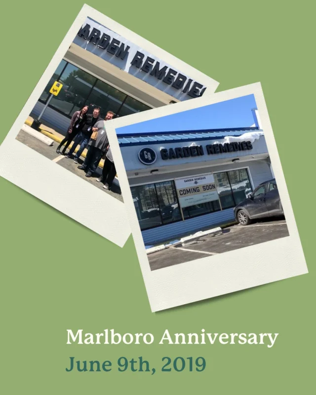 Starting Wednesday our Marlboro location is celebrating 6 years! 2025 is going to be a big year for our Marlboro store. Stay tuned for some exciting updates or ask a CA today.
