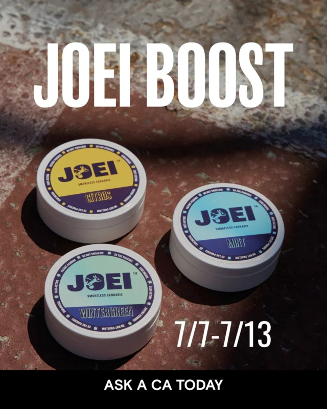Bounce in and boost your bag with JOEI

Ask a CA Today