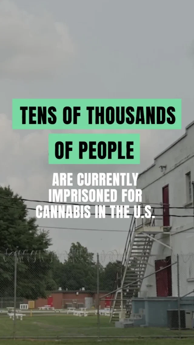 Get involved and take action Text FREEDOM to 24365
Follow @lastprisonerproject